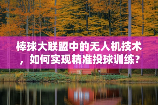 棒球大联盟中的无人机技术，如何实现精准投球训练？