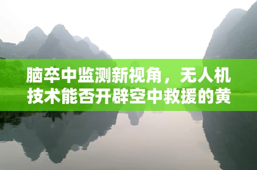 脑卒中监测新视角，无人机技术能否开辟空中救援的黄金一分钟？