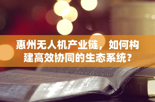 惠州无人机产业链，如何构建高效协同的生态系统？