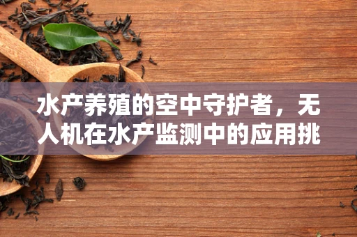 水产养殖的空中守护者，无人机在水产监测中的应用挑战