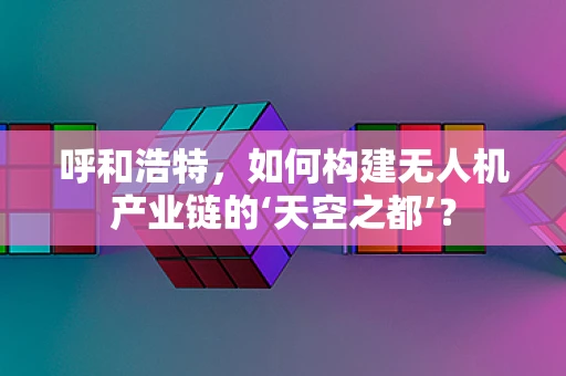 呼和浩特，如何构建无人机产业链的‘天空之都’？