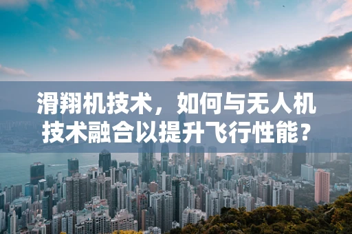 滑翔机技术，如何与无人机技术融合以提升飞行性能？