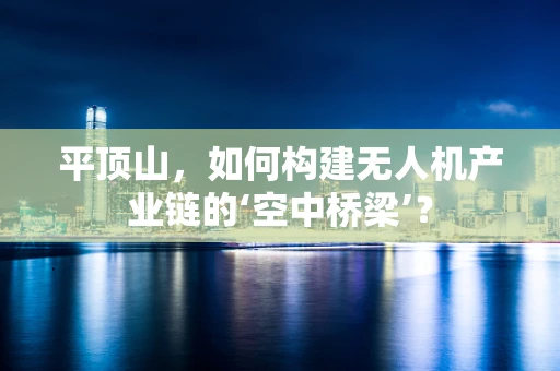 平顶山，如何构建无人机产业链的‘空中桥梁’？