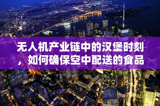无人机产业链中的汉堡时刻，如何确保空中配送的食品安全？
