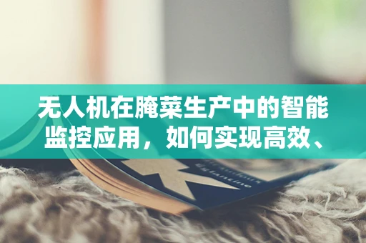 无人机在腌菜生产中的智能监控应用，如何实现高效、无损的腌制过程监控？