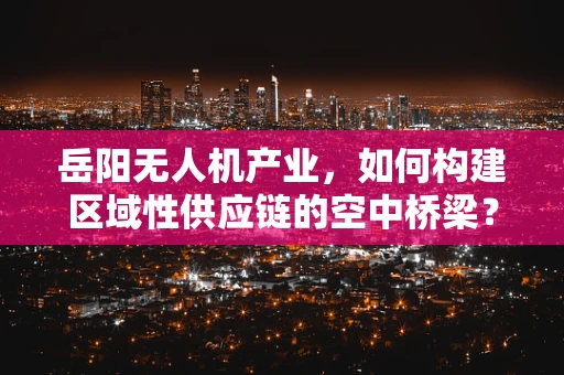 岳阳无人机产业，如何构建区域性供应链的空中桥梁？