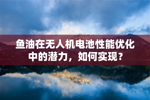 鱼油在无人机电池性能优化中的潜力，如何实现？