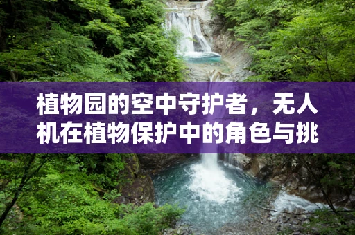 植物园的空中守护者，无人机在植物保护中的角色与挑战