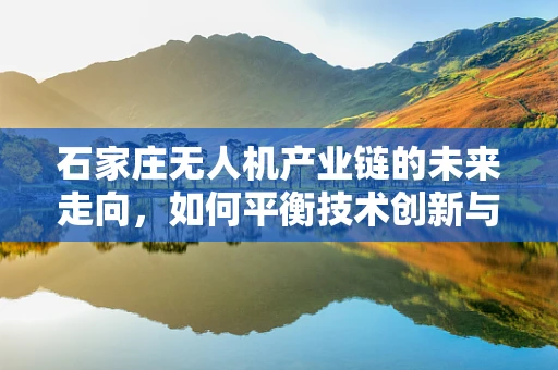 石家庄无人机产业链的未来走向，如何平衡技术创新与法规合规？