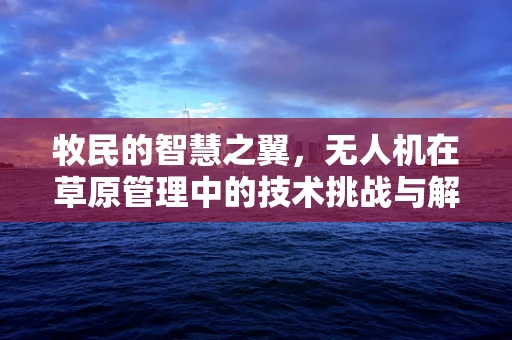 牧民的智慧之翼，无人机在草原管理中的技术挑战与解决方案