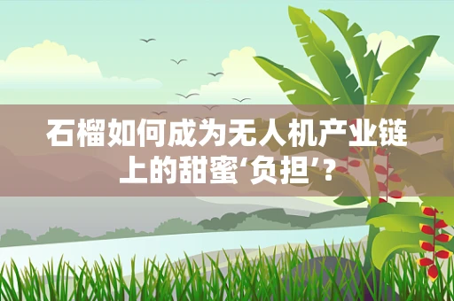 石榴如何成为无人机产业链上的甜蜜‘负担’？
