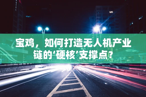 宝鸡，如何打造无人机产业链的‘硬核’支撑点？