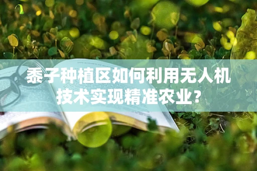黍子种植区如何利用无人机技术实现精准农业？