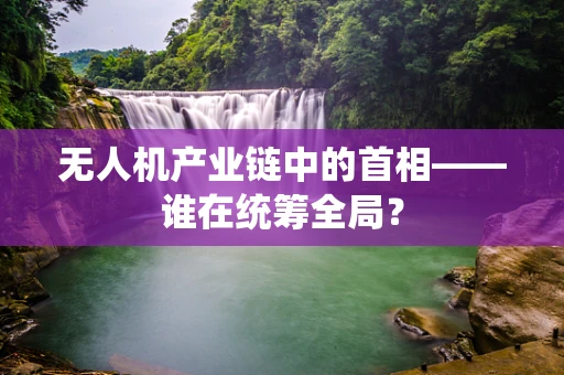 无人机产业链中的首相——谁在统筹全局？
