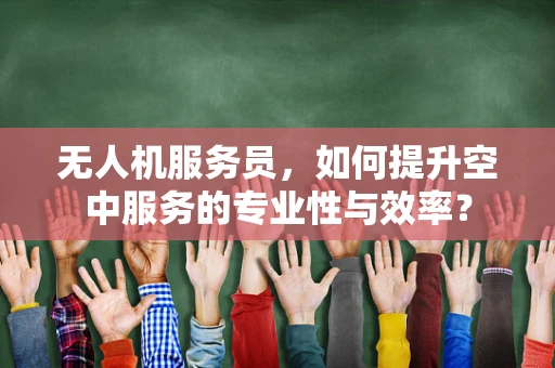 无人机服务员，如何提升空中服务的专业性与效率？