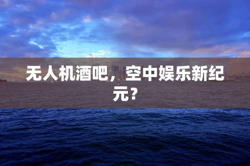 无人机酒吧，空中娱乐新纪元？