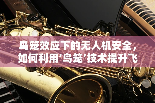 鸟笼效应下的无人机安全，如何利用‘鸟笼’技术提升飞行安全？