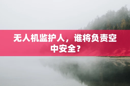 无人机监护人，谁将负责空中安全？