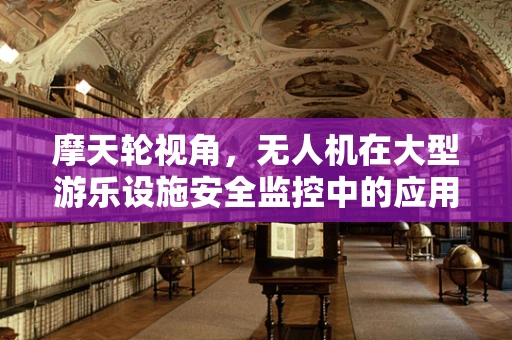 摩天轮视角，无人机在大型游乐设施安全监控中的应用挑战