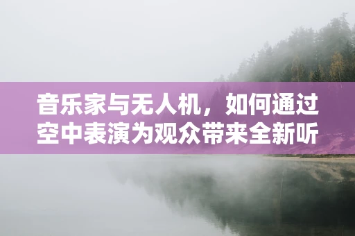 音乐家与无人机，如何通过空中表演为观众带来全新听觉盛宴？