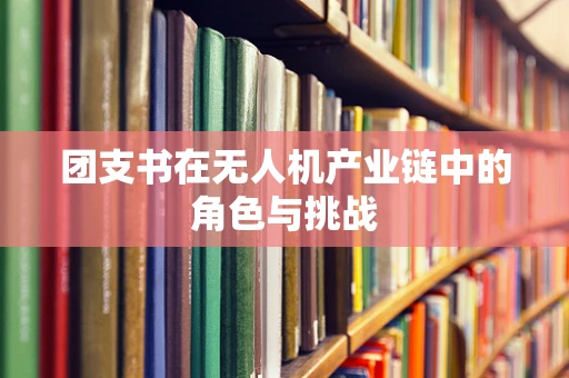 团支书在无人机产业链中的角色与挑战