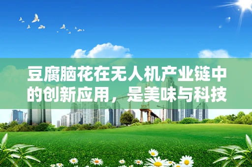 豆腐脑花在无人机产业链中的创新应用，是美味与科技的完美碰撞吗？