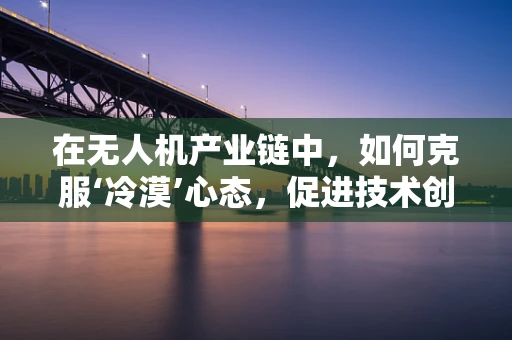 在无人机产业链中，如何克服‘冷漠’心态，促进技术创新与协作？