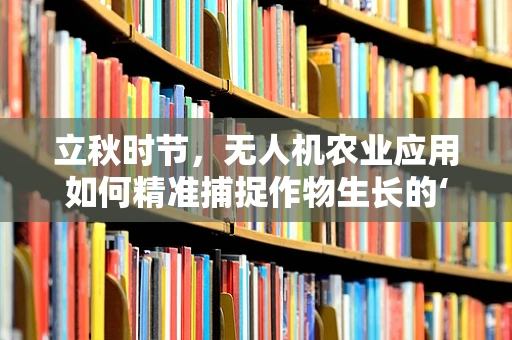 立秋时节，无人机农业应用如何精准捕捉作物生长的‘黄金时期’？