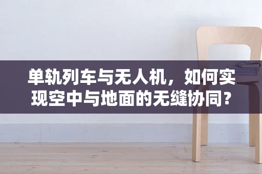 单轨列车与无人机，如何实现空中与地面的无缝协同？