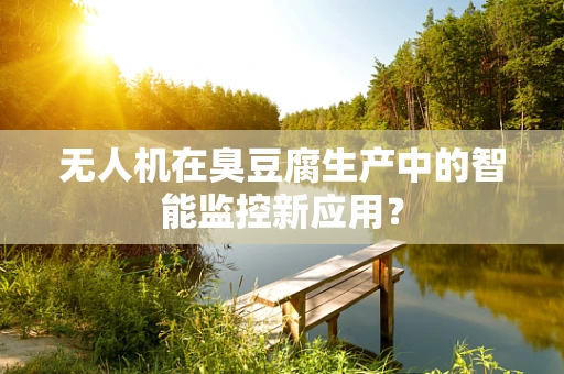 无人机在臭豆腐生产中的智能监控新应用？