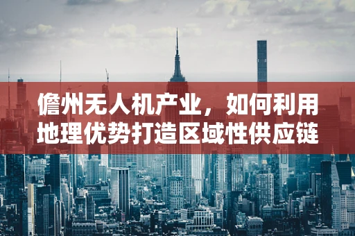 儋州无人机产业，如何利用地理优势打造区域性供应链枢纽？