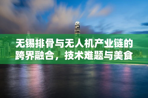 无锡排骨与无人机产业链的跨界融合，技术难题与美食创新