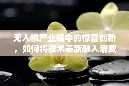 无人机产业链中的惊喜创新，如何将技术革新融入消费者体验？