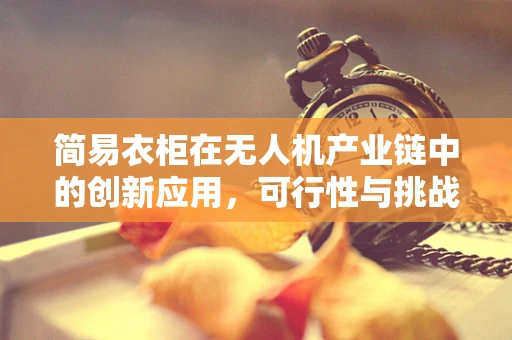 简易衣柜在无人机产业链中的创新应用，可行性与挑战并存？