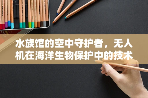 水族馆的空中守护者，无人机在海洋生物保护中的技术挑战