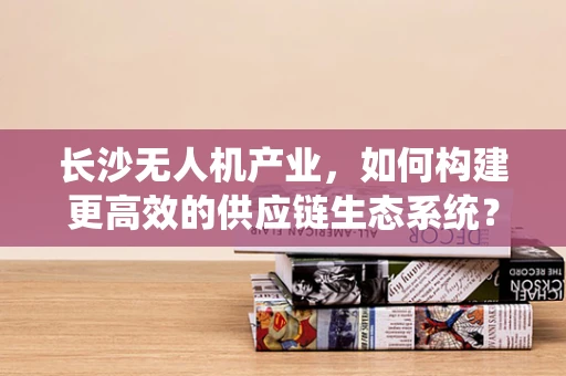 长沙无人机产业，如何构建更高效的供应链生态系统？