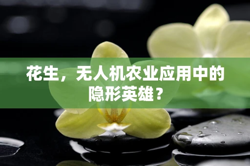 花生，无人机农业应用中的隐形英雄？