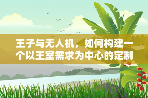王子与无人机，如何构建一个以王室需求为中心的定制化无人机产业链？