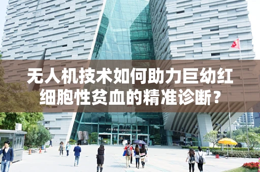 无人机技术如何助力巨幼红细胞性贫血的精准诊断？