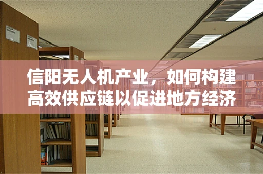 信阳无人机产业，如何构建高效供应链以促进地方经济发展？