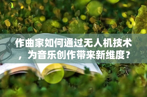 作曲家如何通过无人机技术，为音乐创作带来新维度？