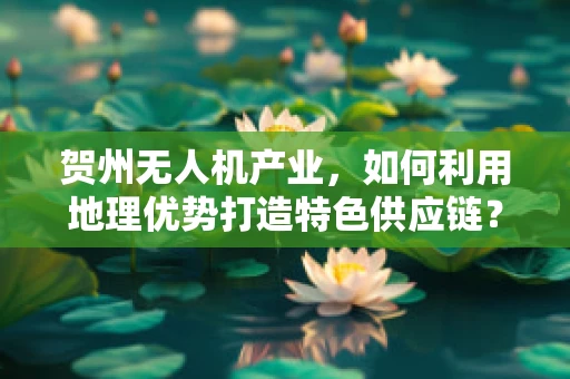 贺州无人机产业，如何利用地理优势打造特色供应链？