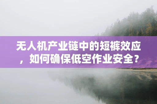 无人机产业链中的短裤效应，如何确保低空作业安全？