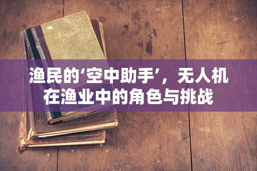 渔民的‘空中助手’，无人机在渔业中的角色与挑战