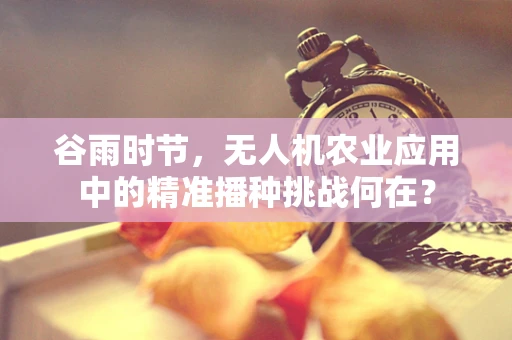 谷雨时节，无人机农业应用中的精准播种挑战何在？