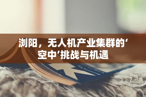 浏阳，无人机产业集群的‘空中’挑战与机遇