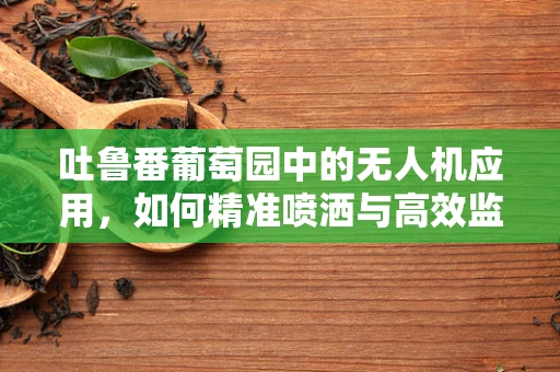 吐鲁番葡萄园中的无人机应用，如何精准喷洒与高效监控？
