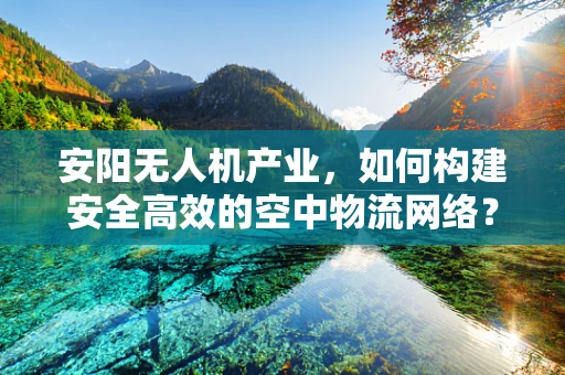 安阳无人机产业，如何构建安全高效的空中物流网络？
