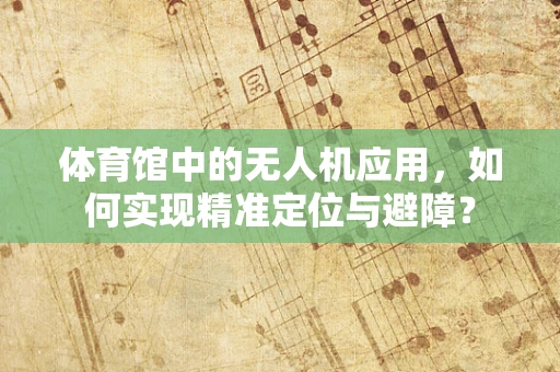 体育馆中的无人机应用，如何实现精准定位与避障？