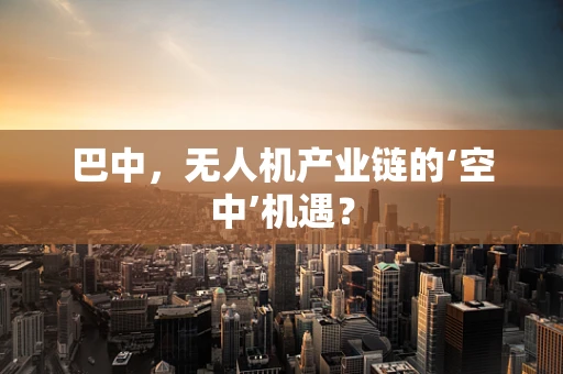巴中，无人机产业链的‘空中’机遇？